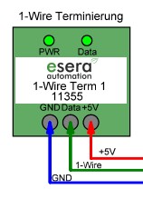 1-Wire Term Anschlussplan